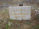 image of grave number 219001